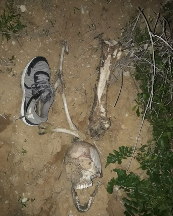 foto del genocidio en palestina, 
Just found today. Only the shoes remained.
sacada del ig de Mosab Abu Toha, autor de Forest of noise
